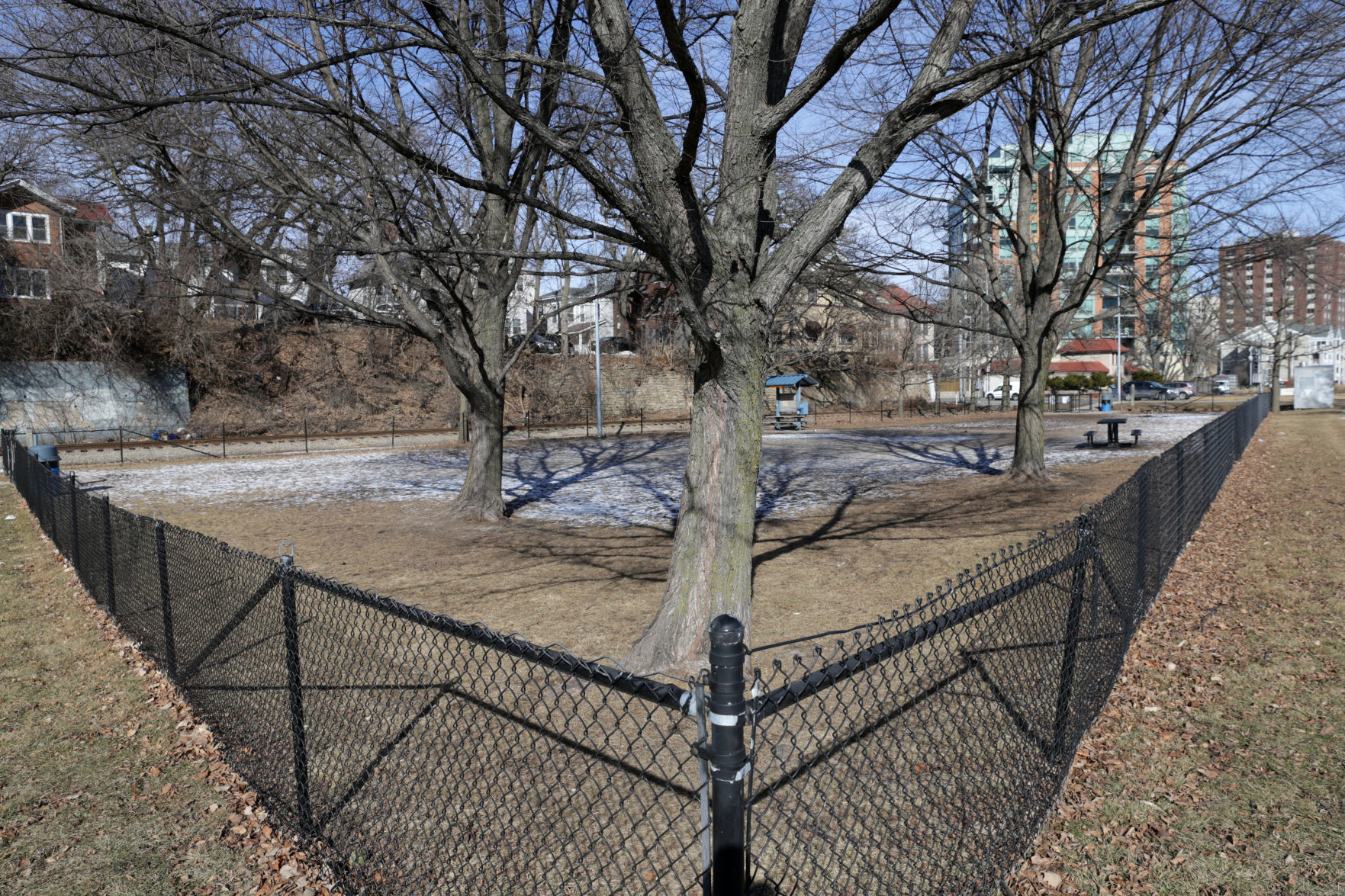 Brittingham dog park overview